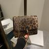2024 Principios de Otoño Nuevo Simple Estilo Occidental Commuter Retro Simple Moda Estampado de Leopardo Cadena Hombro Cruzado Bolso Cuadrado Pequeño para Mujer