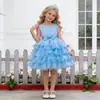 Falda Tutú de Pastel Estilo Nuevo Transfronteriza para Niñas Vestido Bordado de Dama de Honor Vestido de Princesa Traje de Presentación Escolar para Pequeña Anfitriona