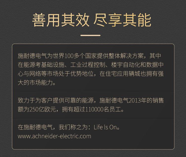 施耐德1