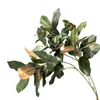 Planta Simulada de Hoja de Magnolia Floristería al por Mayor Jarrón Rama de Magnolia Adornos de Camelia Planta Verde Flor de Plástico Decoración de Paisajismo Arreglo Floral