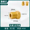 Enchufe a Prueba de Explosiones de Rosca Hexagonal Exterior de Cobre de 4 Puntos Cable Enchufe Tapa de Enchufe de 6 Puntos Tapón de Tubería de Pared de 1 Pulgada con Diente Interior Tapa para Tubería de Agua