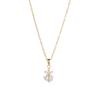 Colar Feminino Celebridade da Internet Transfronteiriço Zircônia Flor Nicho Novo Design Pingente Conjunto de Brincos de Temperamento Colar de Aço Titânio