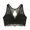 Ropa interior de encaje fino talla grande sin aros Transpirable Mariposa Espalda Hermosa Cómodo Sexy Sujetador con cordones