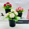 5 rosas con pestaña negra taza internacional tienda de bonsáis decoración de escaparate planta verde artificial en maceta adornos de flores artificiales