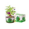 Planta Verde Pequena em Vaso Caixa Surpresa Mini Planta de Vaso para Interior Mesa Mini Planta de Vaso Caixa Surpresa Presente Dia das Crianças para Alunos do Ensino Fundamental