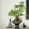 Celebridad de Internet Lujo Ligero Jarrón del Valle Vidrio Irregular Arreglo Floral Hidropónico Decoración de Gama Alta Mesa de Sala de Estar Decoración