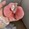 Pasador de Flores Super de Hada para Primavera y Verano con Lirios, Rosas Dulces de Playa y Flor de Hibisco para el Lado del Cabello y el Flequillo, Perfecto para Salir