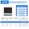 Controlador de temperatura, presión y nivel de líquido de doble circuito y doble haz de luz con dos instrumentos de visualización y dos entradas de señal 485