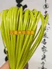 Tiras planas de ratán de 5 mm de ancho, material de tejido hecho a mano para bolsos y cestas de flores, tiras planas de ratán de plástico, populares en línea