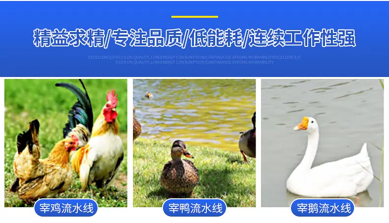 屠宰设备