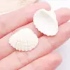 Colgante de Concha de Caracol Natural de Agujero Único Cuentas de Concha de Caracol Perforadas Accesorios de Joyería para Pendientes, Collares, Sombreros Ninguno