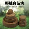 Fibra de Coco Selecionada com Cuidado Solo Nutritivo para Cultivo de Vegetais e Suculentas, Meio de Cultivo Vegetal Puro Comprimido, Bloco de Coco Puro Importado, Disponível para Dropshipping