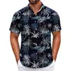 Camisa Havaiana Transfronteiriça Peça Única Masculina Praia Tamanho Grande Casual Estampada em 3D Manga Curta Camisa de Férias à Beira-Mar Tendência