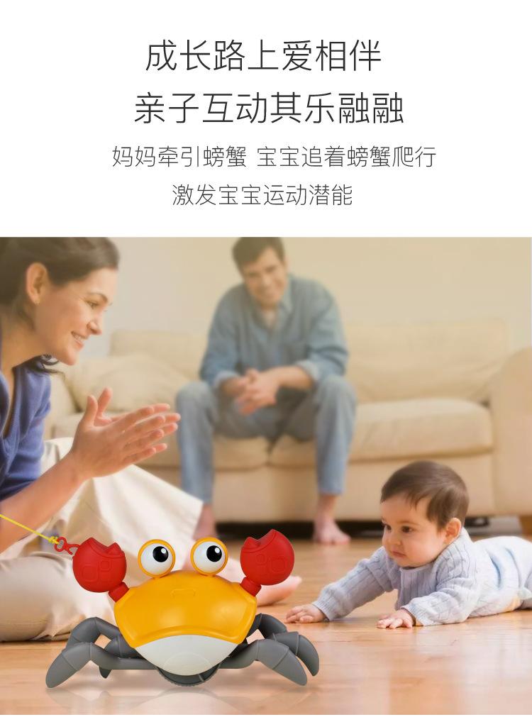 水陆螃蟹
