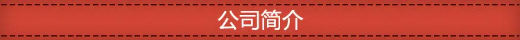 公司简介2