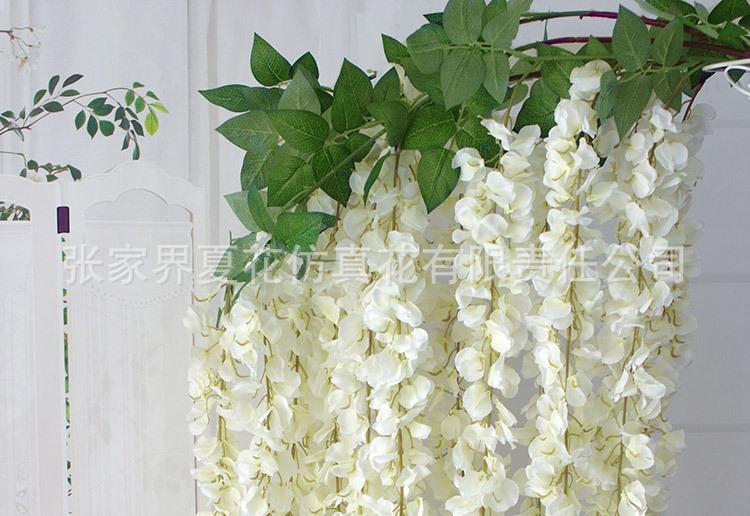 3头豆花紫藤_19.jpg