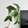 Simulação de casamento Folhas de plantas verdes Folhas de olmo Folhas de taro coloridas Filme de impressão 3D Folhas de mori Floricultura Decoração suave Folhas verdes