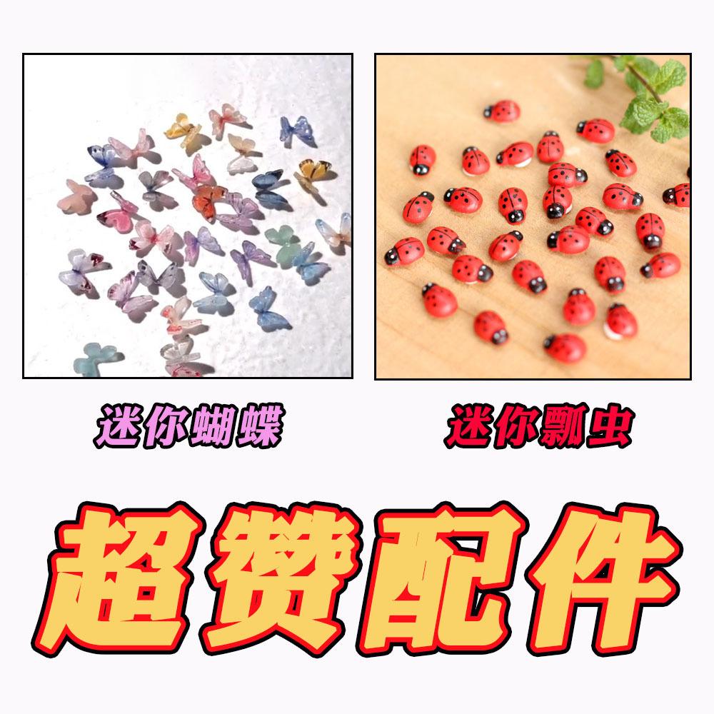 蝴蝶和瓢虫