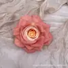 Hermosa cabeza de flor de rosa de lana multicolor de alta calidad sin deformación, pared de flores de boda, flor de simulación de color especial para primavera y otoño