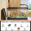 Diretamente do Fabricante: Novo Modelo de Aquário Doméstico Pequeno para Sala de Estar, Tanque Ecológico Completo com Tampa, Aquário Transparente de Mesa e Tanque para Tartarugas