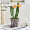 Bonsai de combinação de cactos, flores artificiais, plantas tropicais, plantas em vaso, decorações de interior, cactos suculentos de alta qualidade para vendas transfronteiriças