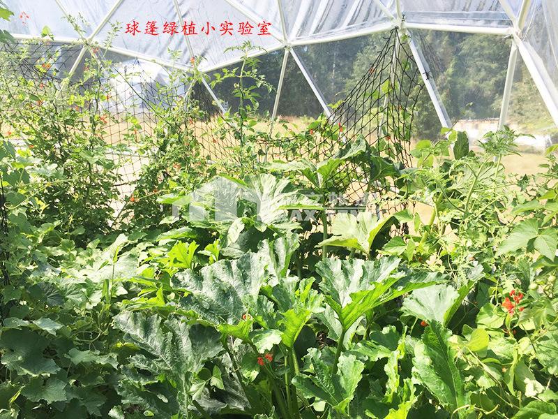 透明案例-02.jpg