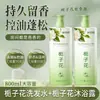 Champú con Fragancia de Aminoácidos de Gardenia Control de Grasa Anticaspa Gel de Ducha Limpieza Refrescante Venta al por Mayor de Fábrica