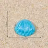 Concha Estrella de Mar de Cristal Accesorios Paisaje Marino Micro Paisaje Resina DIY Mini Adornos Planos Carcasa de Teléfono Móvil Joyería