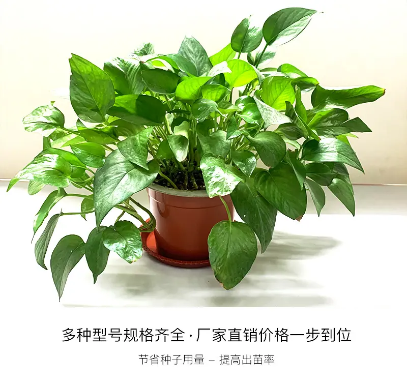 详情_03.jpg