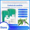 Aromatizador de ambiente essência de sálvia desodorante para caixa de areia de gato perfume para carro sachê de aromaterapia produto químico diário especiaria