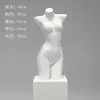Accesorios de Modelo de Ropa Interior Torso Femenino Masculino Soportes de Exhibición de Ventana de Plástico Maniquí Apilamiento de Pecho De Zhu