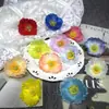 Cabezas de Amapola, Flores Artificiales, Accesorios para el Cabello DIY, Pasadores, Guirnaldas de Flores, Accesorios para Ropa, Flores Artificiales Falsas, Venta al por Mayor Transfronteriza