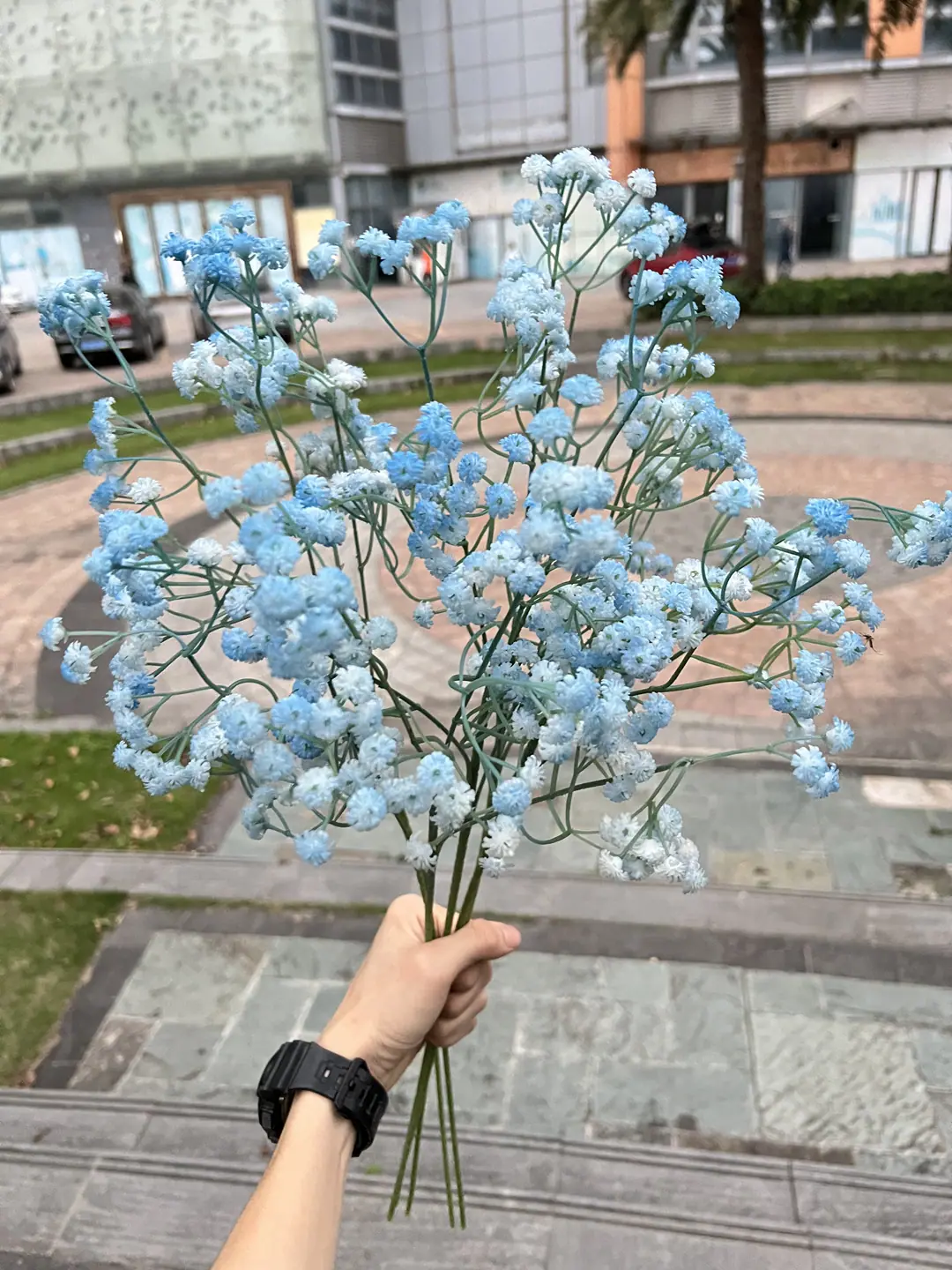 微信图片_20230412170741.jpg