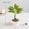 Flores Falsas, Plantas Verdes, Bonsái Pequeño, Adornos Creativos, Suministros de Moda, Ventas Directas de Fábrica Jinhua, Flores Artificiales, Plantas en Maceta