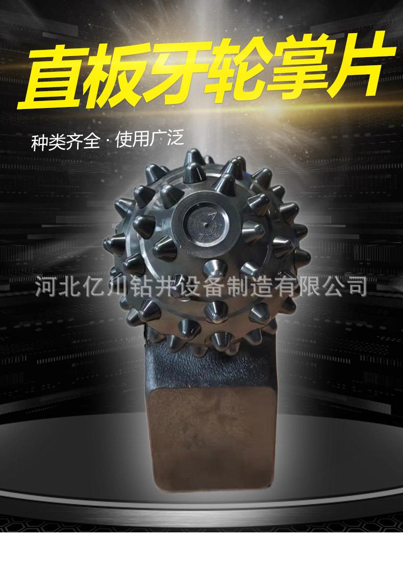 旋挖直柄牙轮掌片_01.jpg