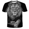 2026 Nueva Amazon AliExpress Camiseta Holgada con Estampado Digital 3D para Hombre Animal Nuevos Patrones Europeos y Americanos