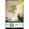 Planta en Maceta de Piso Nandina Domestica, Planta Verde Artificial Grande para Interiores, Decoración de Lujo Ligero para Sala de Estar, Árbol Artificial