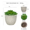 Planta en Maceta Artificial Mini Transfronteriza Hecha a Medida Adornos de Escritorio Bonsái Suculento de Simulación Flor Artificial Planta Verde Pulpa Suculenta Planta en Maceta