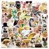 50 pegatinas realistas de expresiones de animales para decorar laptops, guitarras, botellas de agua, cuadernos y diarios, impermeables