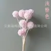 Molino de Viento Fruta de Flor Preservada, Materiales Florales Decorativos Fruta de Piña de Flor Preservada, Adornos para Arreglos Florales, Venta Directa de Fábrica, Superventas Transfronterizos