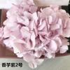 Fábrica atacado materiais de flores frescas materiais grande folha hortênsia para sempre flor novo Tanabata presente de aniversário do dia dos namorados