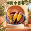 Batata Pequeña Fragante Dulce de Hainan Venta al por Mayor Dropshipping 1/3/5/9 Jin Batata Miel Mini Batata Cruda Batata Fragante Dulce Harinosa Pegajosa Verdura Fresca