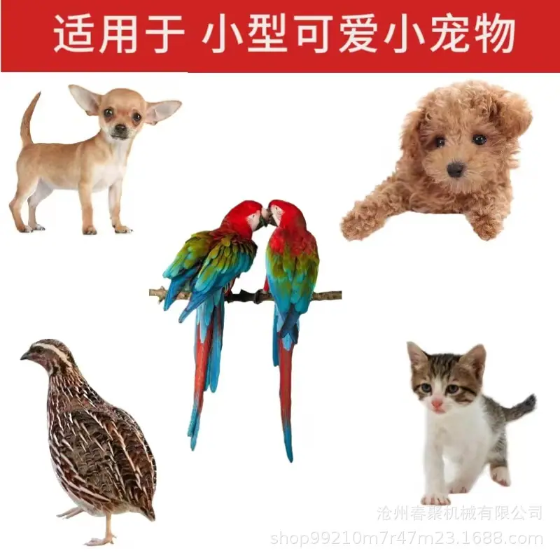 兔子饮水器适用1.jpg
