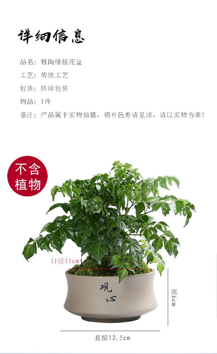 绿植花盆_04