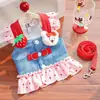 Arnés para Mascotas con Correa, Estilo Falda JK, Correa Anti-Escape para Gatos, Falda de Encaje, Estilo Dulce de Princesa, Modelo de Primavera y Verano, Correa para Gatos Pequeños