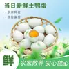 Huevos de Pato Frescos, Huevos de Pato Auténticos de Corral, Criados en Granja Caja Grande Entera al por Mayor, Alta Calidad y Frescos