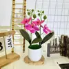 Filme 3D Dois Bonsais de Phalaenopsis de 4 Flores Decorações de Plantas Artificiais para Sala de Estar Interna Decoração de Chão de Restaurante Flores Artificiais