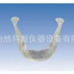 透明下颌骨模型医学模型KY0060