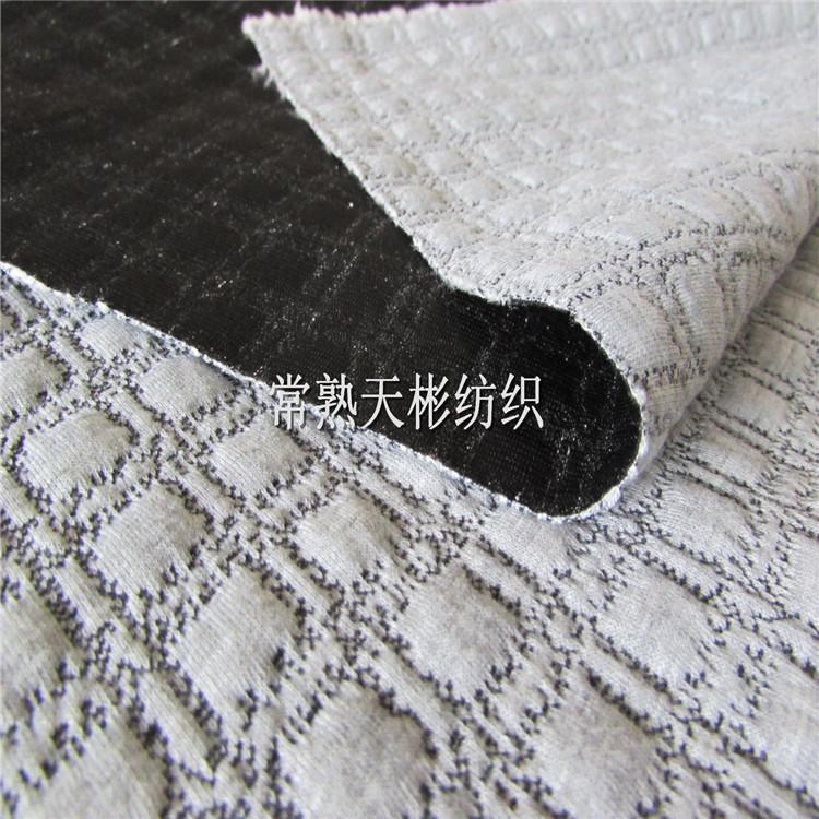 8765033243_427192249