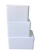 Caja de espuma Número de publicación. 345678 fruta fresca comida congelada peces ornamentales envío exprés embalaje de espuma